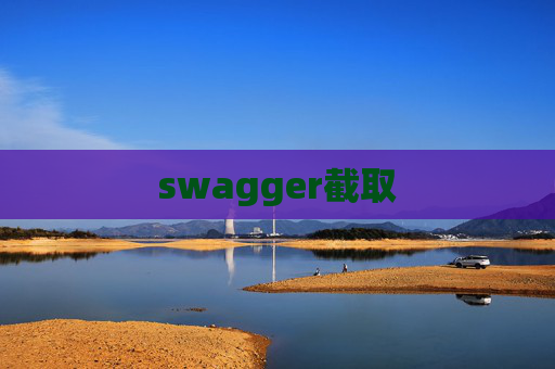 swagger截取